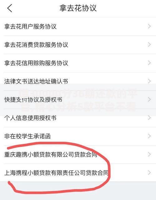 借30000分36期还款的平台,精心分析5款平台不看征信不看负债好下款