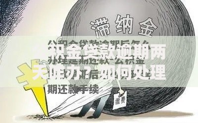 公积金贷款逾期两天咋办？如何处理？补救方法全解析！