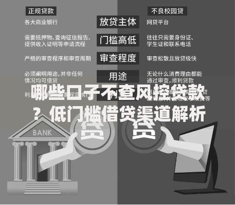 哪些口子不查风控贷款？低门槛借贷渠道解析
