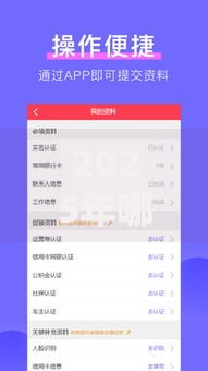 2025年哪个口子好下款？权威解析合规贷款渠道选择