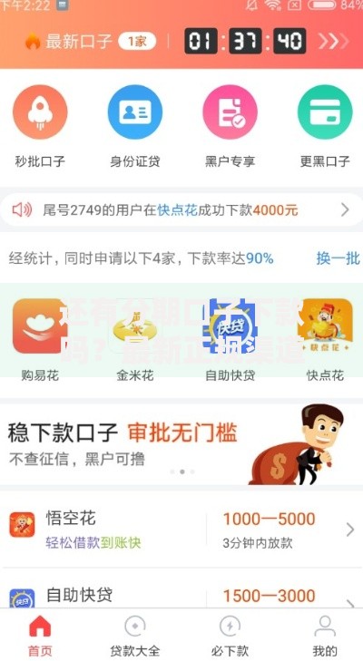 还有分期口子下款吗？最新正规渠道解析与选择建议