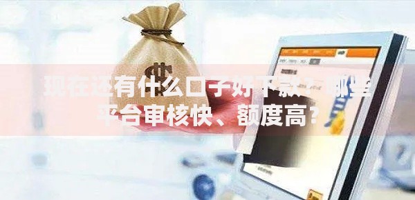 现在还有什么口子好下款？哪些平台审核快、额度高？
