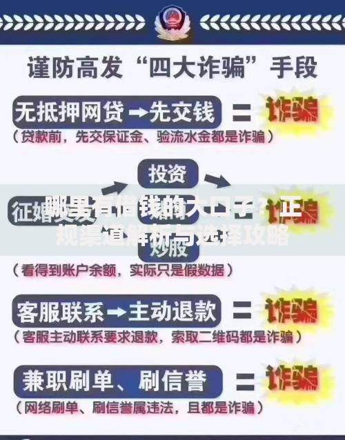 哪里有借钱的大口子？正规渠道解析与选择攻略