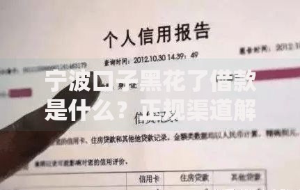 宁波口子黑花了借款是什么？正规渠道解析及申请指南