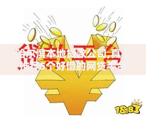 哈尔滨本地贷款公司,真心推荐5个好借的网贷平台