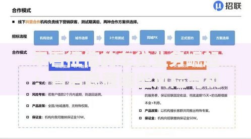 不看征信的车贷业务崛起：背后隐藏哪些风险与机遇？