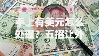 手上有美元怎么处理？五招让外币保值又增值