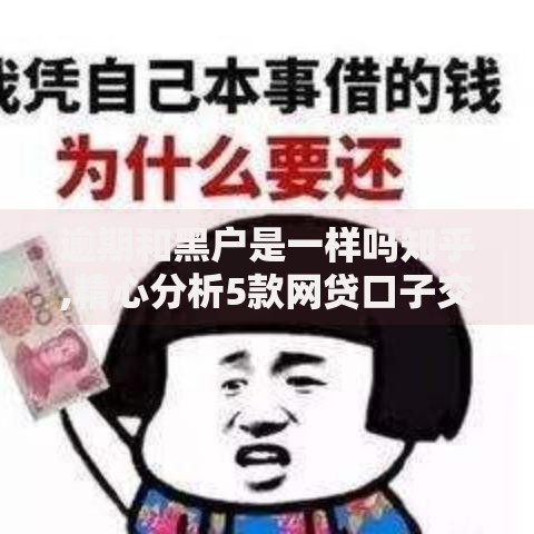 逾期和黑户是一样吗知乎,精心分析5款网贷口子交流论坛