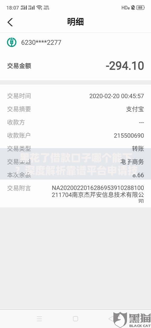 黑花了借款口子哪个能下？深度解析靠谱平台申请技巧与避坑指南