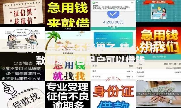 立即贷是不是不能用了,精心分析5款哪家平台黑户可以借钱