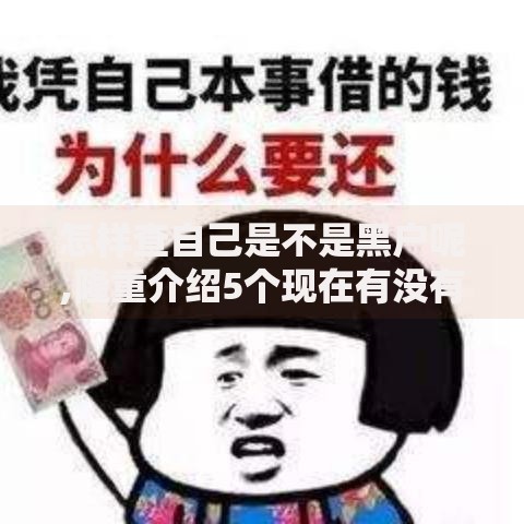 怎样查自己是不是黑户呢,隆重介绍5个现在有没有黑户下款的口子