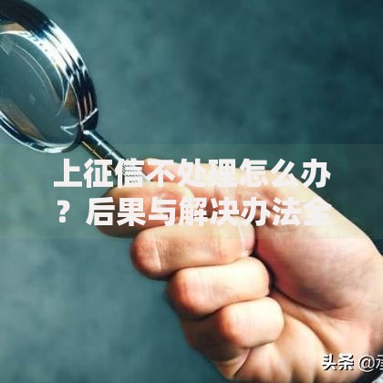 上征信不处理怎么办？后果与解决办法全解析