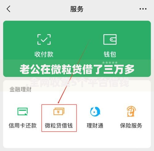 老公在微粒贷借了三万多,全网收集5个平台借钱