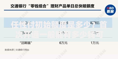任性付初始额度是多少？首次开通一般能有多少钱可用