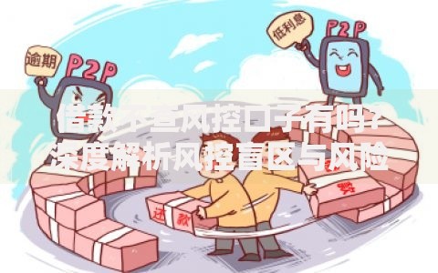 借款不查风控口子有吗？深度解析风控盲区与风险规避