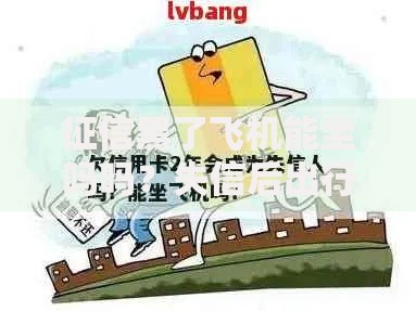 征信黑了飞机能坐吗吗？失信后出行限制全解读