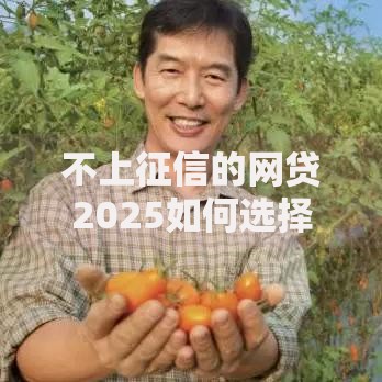 不上征信的网贷2025如何选择？权威指南解析合规路径