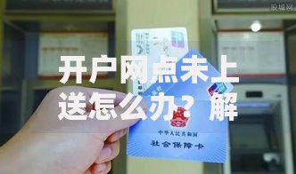 开户网点未上送怎么办？解决方法与实用技巧一网打尽