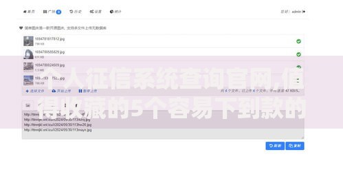 个人征信系统查询官网,值得收藏的5个容易下到款的平台