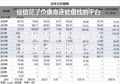 高利贷借款平台急用钱,全网收集5个征信花了能下款的平台