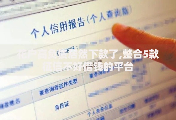 花户高负债居然下款了,整合5款征信不好借钱的平台