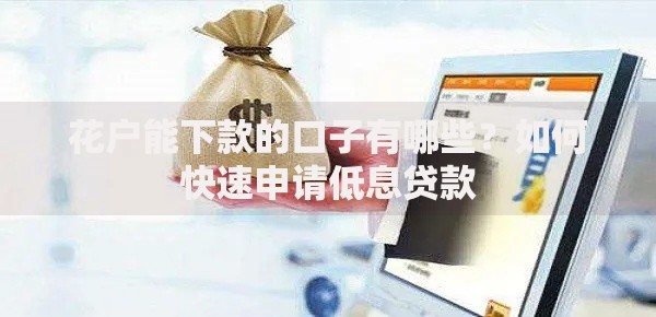 花户能下款的口子有哪些？如何快速申请低息贷款