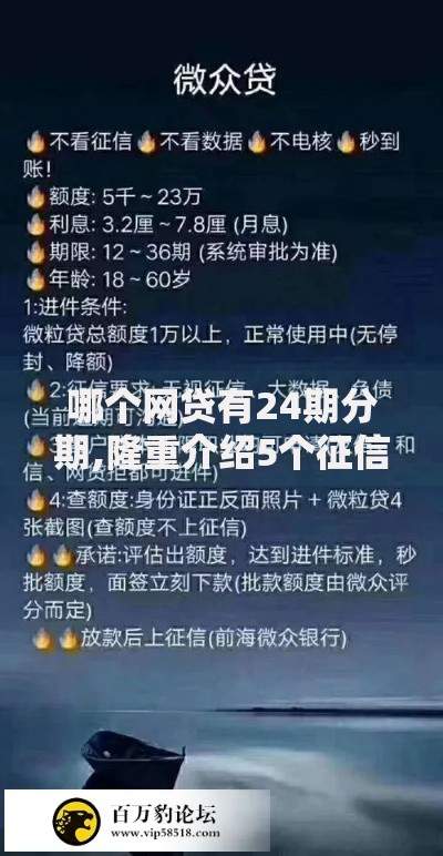哪个网贷有24期分期,隆重介绍5个征信花了网贷平台哪些好下款