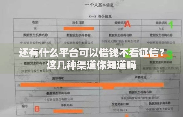 还有什么平台可以借钱不看征信？这几种渠道你知道吗