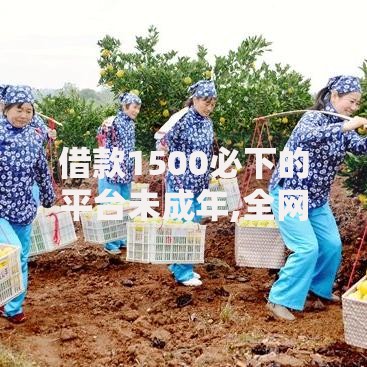 借款1500必下的平台未成年,全网收集5个2025买会员有额度的口子