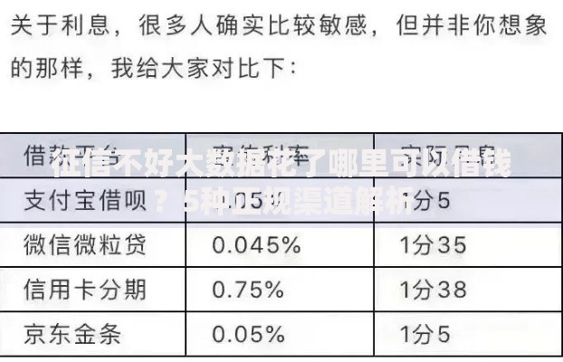 征信不好大数据花了哪里可以借钱？5种正规渠道解析