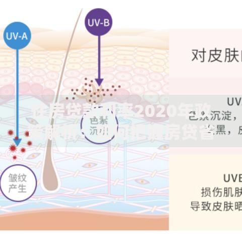 住房贷款利率2020年政策解析：如何把握房贷省钱秘诀