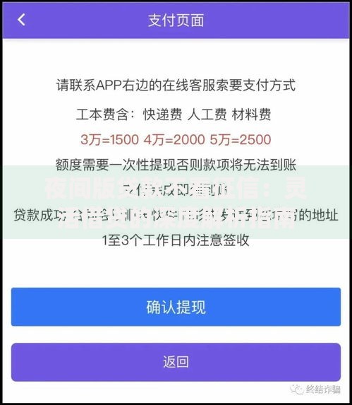 夜间版贷款不看征信：灵活借贷的深度解析指南