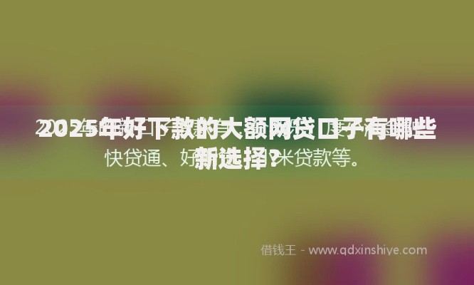 2025年好下款的大额网贷口子有哪些新选择？