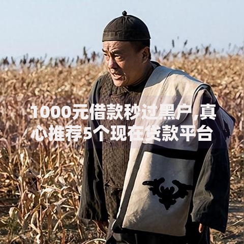 1000元借款秒过黑户,真心推荐5个现在贷款平台好用