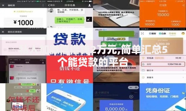 私人加微信借钱2万元,简单汇总5个能贷款的平台