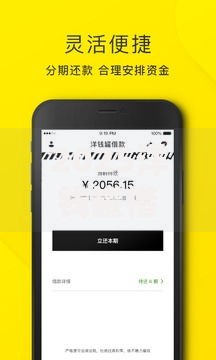 2025洋钱罐借款容易通过吗,整合5款京东借钱平台