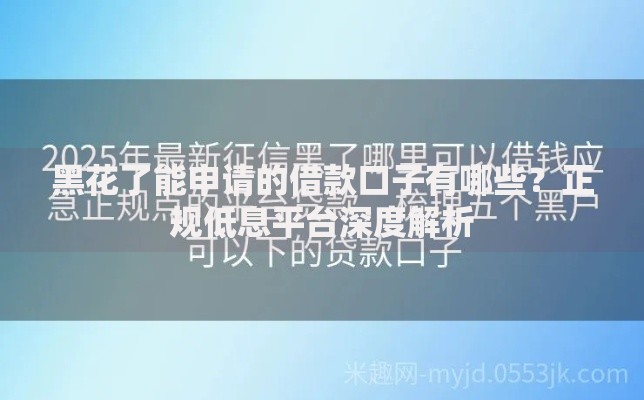 黑花了能申请的借款口子有哪些？正规低息平台深度解析