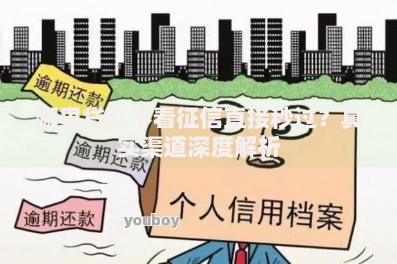 哪里贷款不看征信直接秒过？真实渠道深度解析