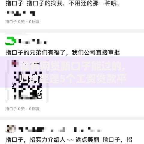 谁有网贷新口子能过的,归纳整理5个工资贷款平台