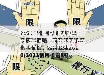 信用飞可以延期几天？延期政策与操作流程详解