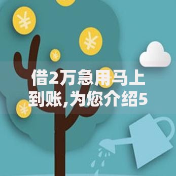 借2万急用马上到账,为您介绍5款网贷平台容易下款