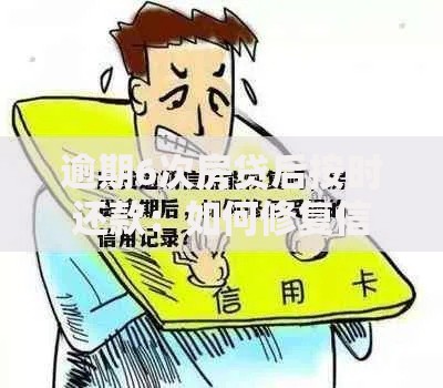 逾期6次房贷后按时还款：如何修复信用记录？