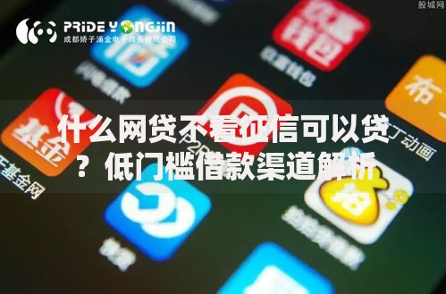 什么网贷不看征信可以贷？低门槛借款渠道解析