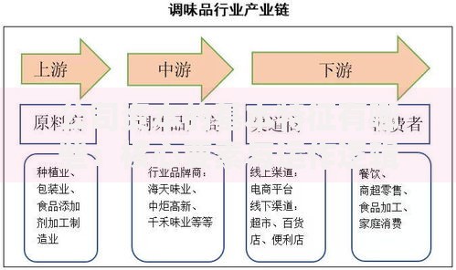 公司资本的基本特征有哪些：核心要素与运作逻辑解析