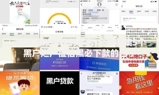20岁可以借钱的平台,全网收集5个黑户烂户征信黑必下款的口子