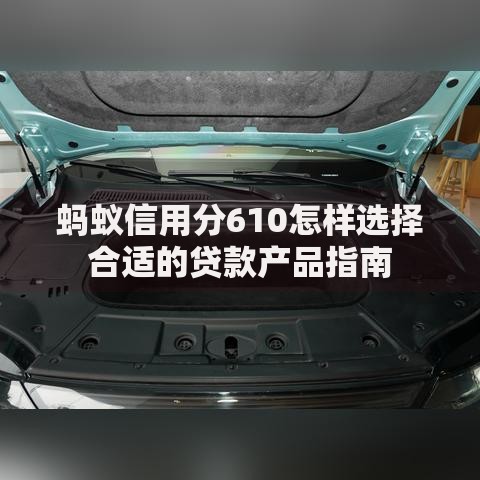 蚂蚁信用分610怎样选择合适的贷款产品指南