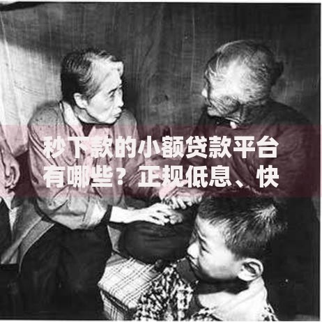 秒下款的小额贷款平台有哪些？正规低息、快速到账的精选推荐