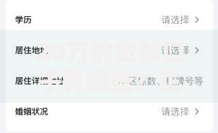 20万的贷款口子有哪些？正规渠道申请流程全解析