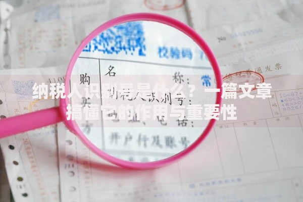 纳税人识别号是什么？一篇文章搞懂它的作用与重要性