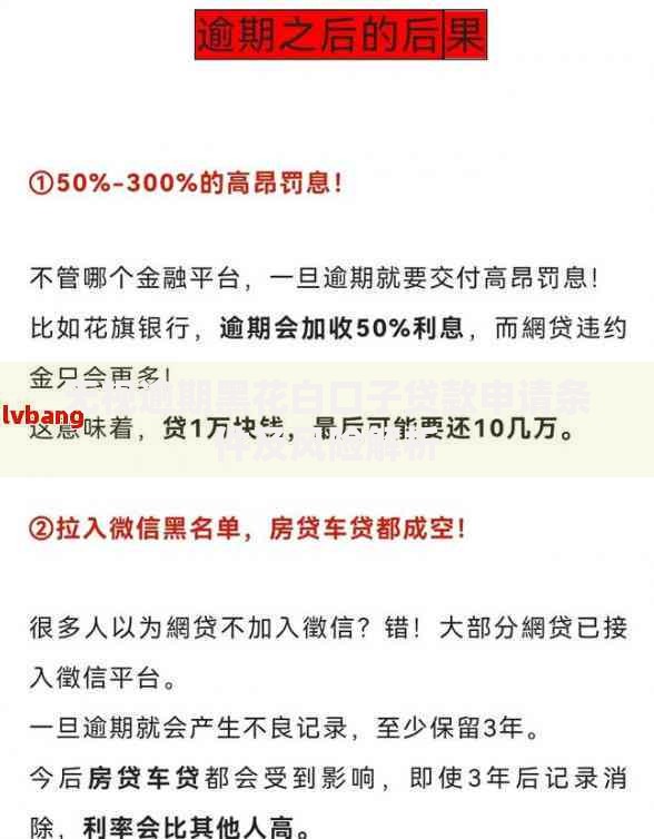 无视逾期黑花白口子贷款申请条件及风险解析
